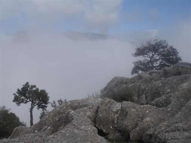 DSC02406.JPG