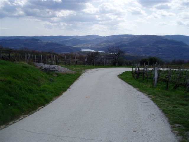 P1010024.JPG