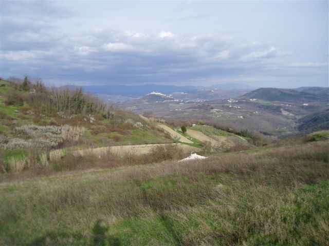P1010029.JPG