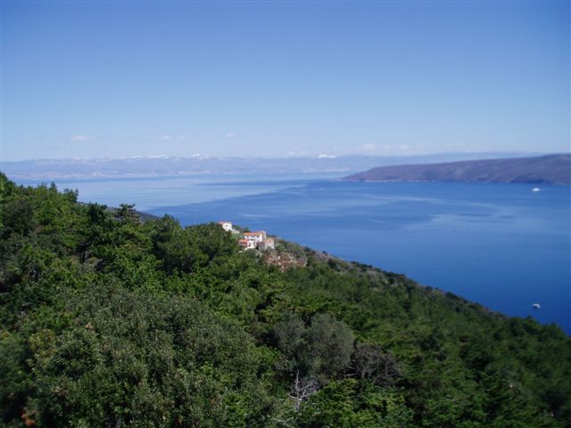 P1010043.JPG